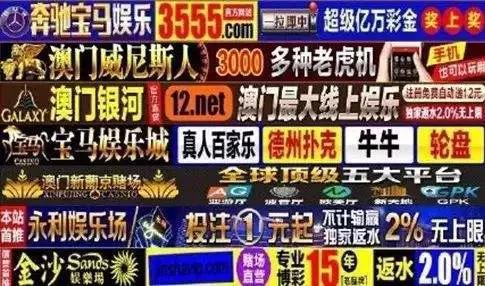 骗局：我在探探上24小时内遇到的25个骗子