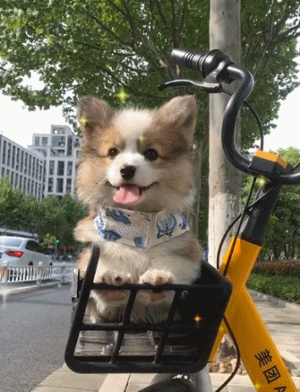 要开心呦！-搞笑gif动态图片-izike