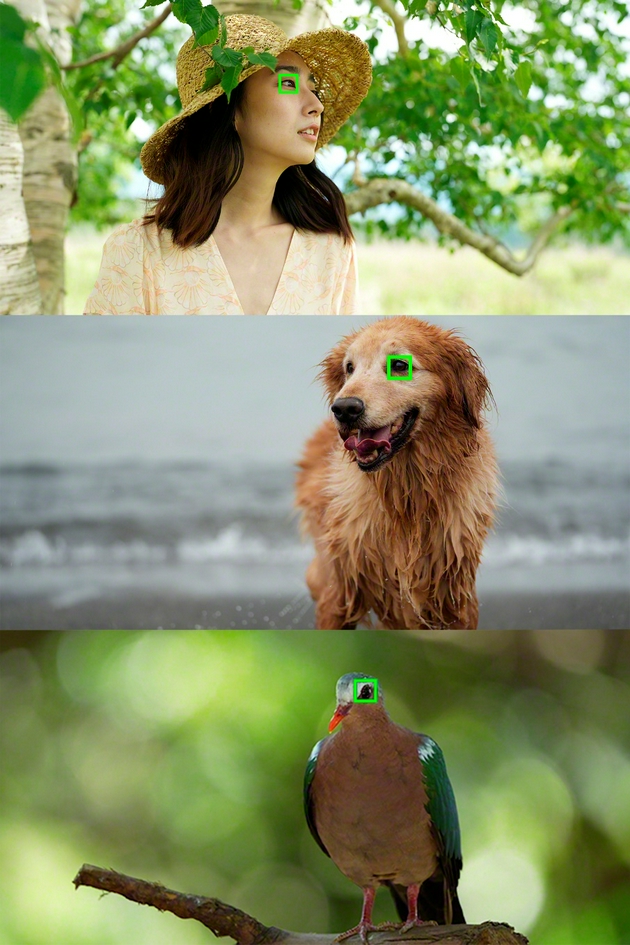 索尼全画幅新基准 索尼微单Alpha 7 IV发布