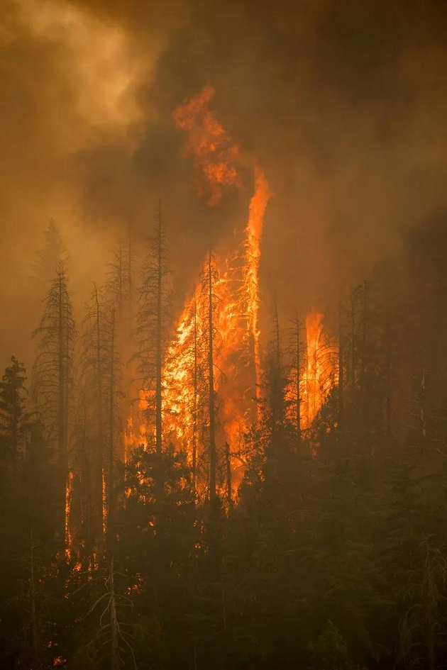 2021 年夏季加拿大不列颠哥伦比亚省的野火。来源：Public Domain