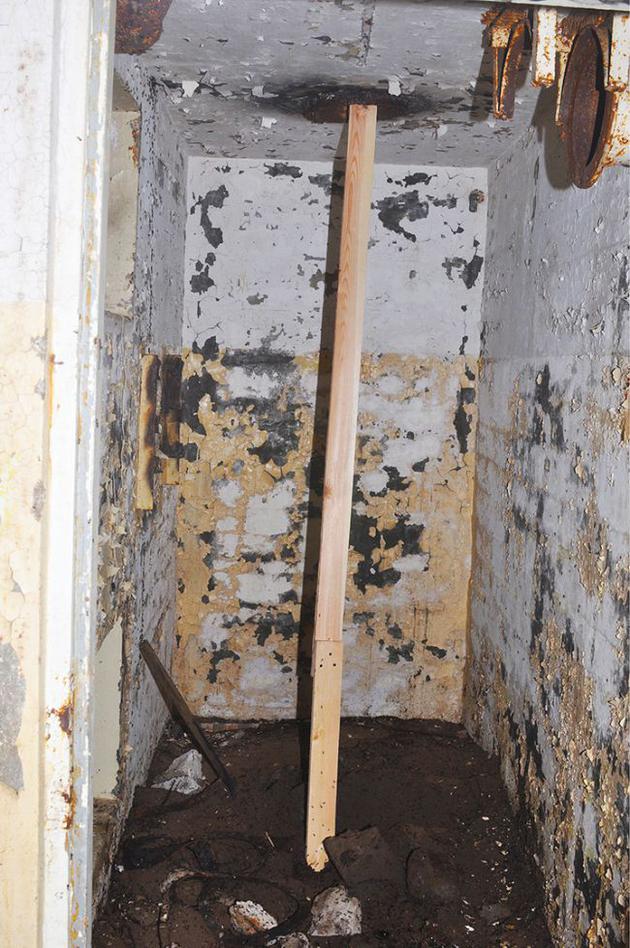 2016年，研究人员在地堡地面和通风管之间建立了一根垂直“木板路”，2017年科学家再次勘查这个地堡时，发现被困蚂蚁全部沿着逃生路线离开了地板，它们应该返回地面蚁巢回归蚁群。