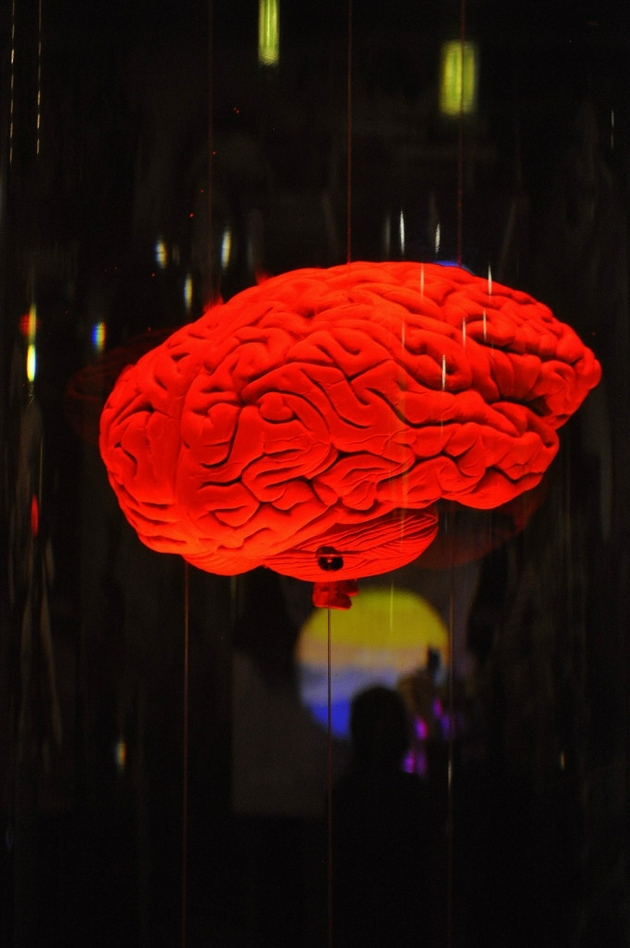 人类大脑会对红色产生强烈的警惕性