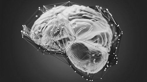 神经科学家开始精确定位大脑中参与自由意志感知的区域。图片来源：iStock.com