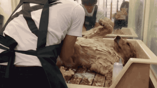 洗澡洗成这样…也是让人感叹啊-搞笑gif动态图片-izike