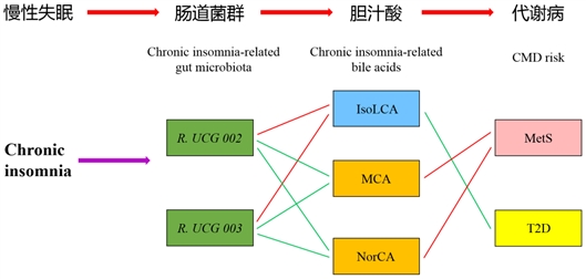 研究示意图 西湖大学供图