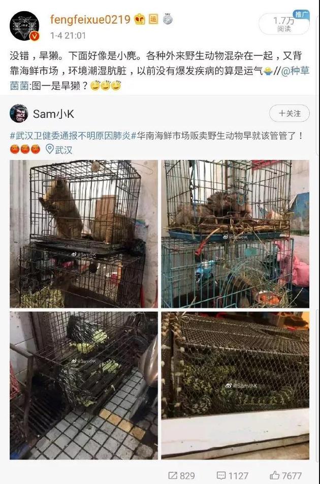 疑似武汉海鲜市场贩卖的野生动物 | 微博截图