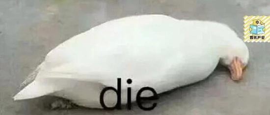 豆瓣进不去:被“雪藏”的小组,正在死去的豆瓣?