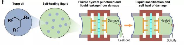 图 | 柔性电液泵自愈液体治疗损伤的示意图（来源：受访者）