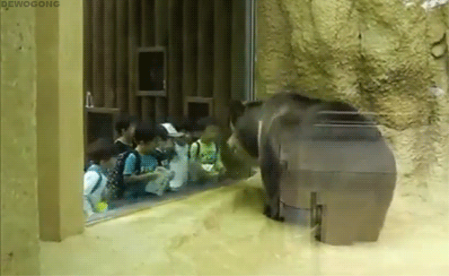 看谁点头厉害-搞笑gif动态图片-izike
