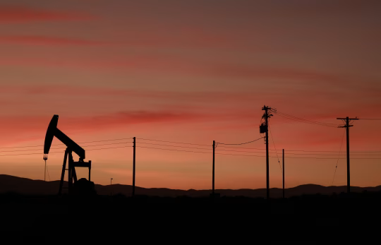 揭秘DY24小时在线低价下单网址，错过就亏大了？！