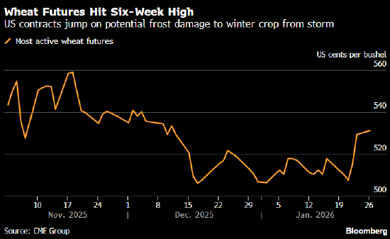 小麦期货触及六周高点 美国多地遭遇霜冻