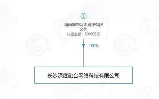 ZAO运营公司架构。图片来源：企查查