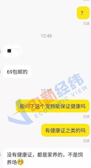 中新经纬记者与宠物盲盒卖家的对话