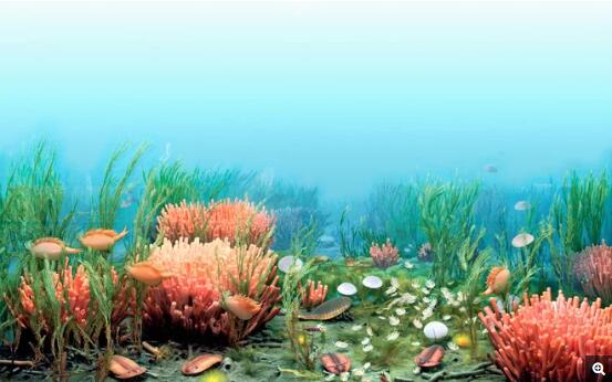在5.2亿到5.4亿年前，古老的海洋动物在挖掘海底沉积物的过程中，无意间触发了一场全球性的气候变暖事件