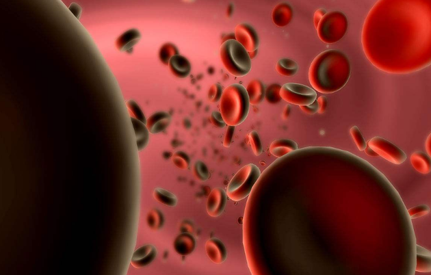 Rubius Therapeutics公司计划使用医用蛋白质配备红细胞，并依据特定情况进行调整。之后这些特殊红细胞注入患者体内，开始治疗患者的疾病。最终，这种超级血液占患者体内血液总量不足1%