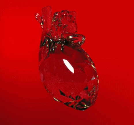 新闻中心首页往日回顾