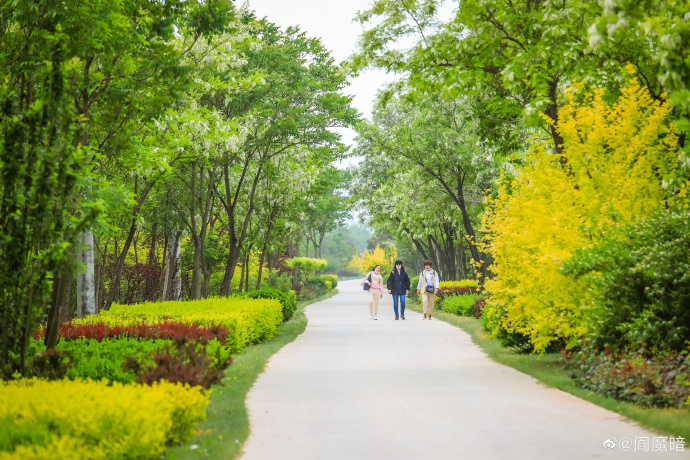 拍摄官港森林公园那些难忘的美