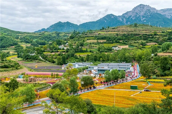 乡村振兴 携手同行 | 每日推荐:甘肃特色文旅资源——临潭县