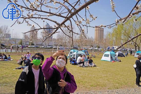 泰豐公園,塘沽森林公園,紫雲公園,東疆親海公園等各大開放公園喜迎各