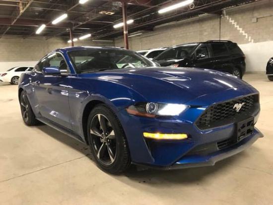 2018款福特野马 四座轿跑亲民价格