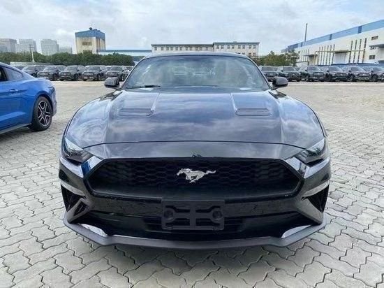 福特野马顶级小轿跑拉风帅气炫酷出售-新浪汽车