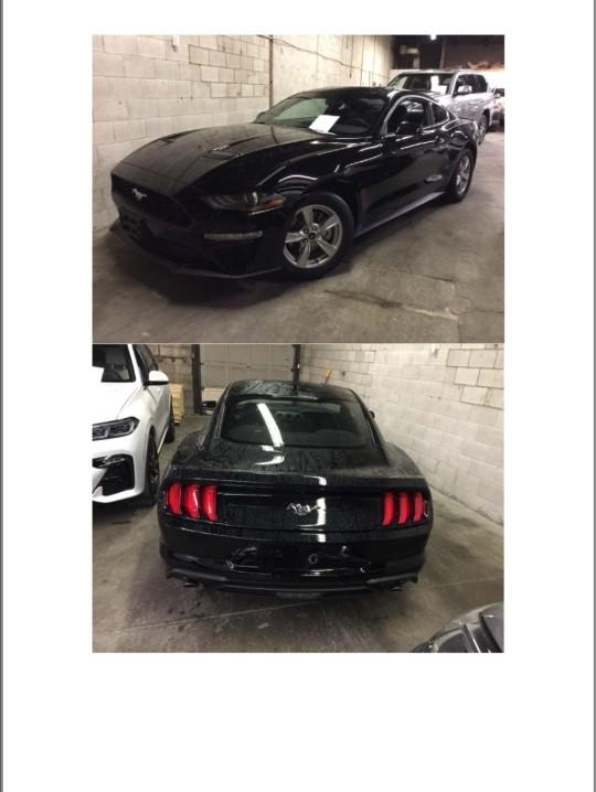 20款福特野马2.3T秋季感恩大酬宾快来抢