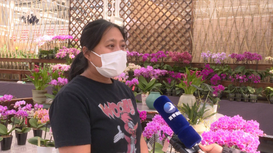 天津花卉批发市场在哪里进货