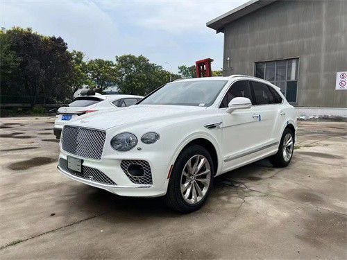 宾利添越以其精纯臻美的匠心设计,激发驾乘者探索世界的热望.