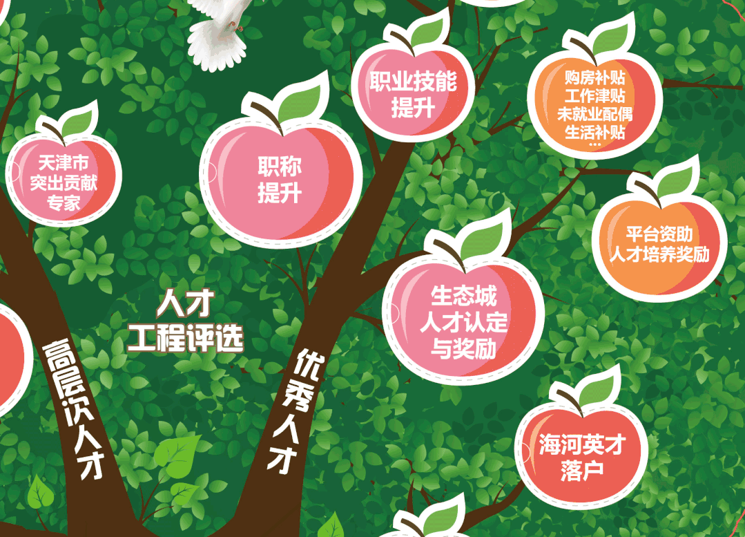 生态城有棵人才成长树人才政策和成长路径看得懂算得清