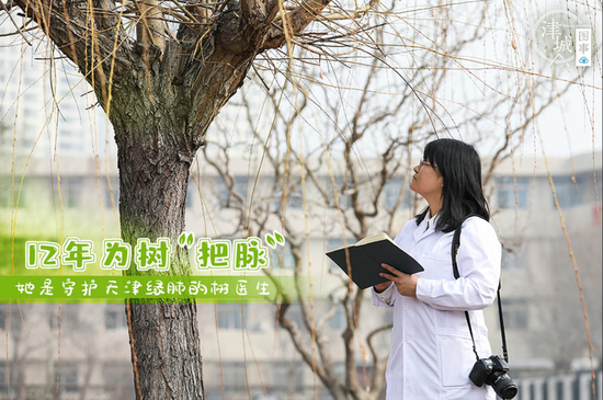 【津城图事】12年为树"把脉" 她是守护天津绿肺的树医生