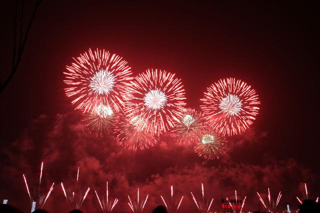 天津市烟花爆竹安全管理办法