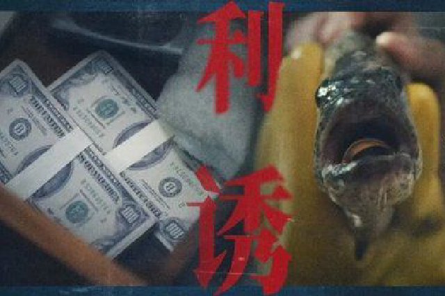 以法止间 与谍交锋——从《反间谍法》的视角看《交锋》