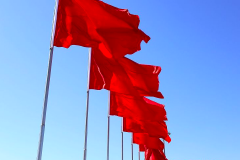 一图读懂丨全国政协常委会关于提案工作情况的报告