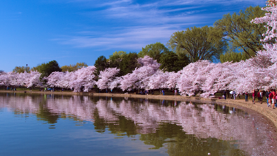 御河桃源北运河玉带环腰,桃花堤隔河相望,坐揽一线河景,推窗即揽十里