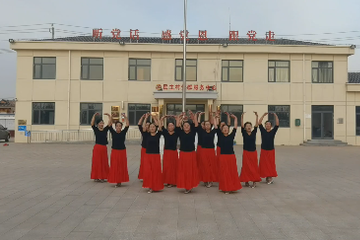 【美丽家乡舞起来】19号参赛队