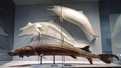 海上故宫落户天津滨海新区年内免费开放