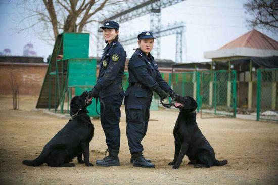 津铁犬队警花绽放警花与警犬共度三八节