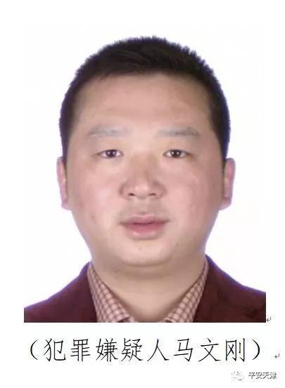 主要犯罪嫌疑人马文刚,男,出生日期:1975年2月21日,户籍地:天津市