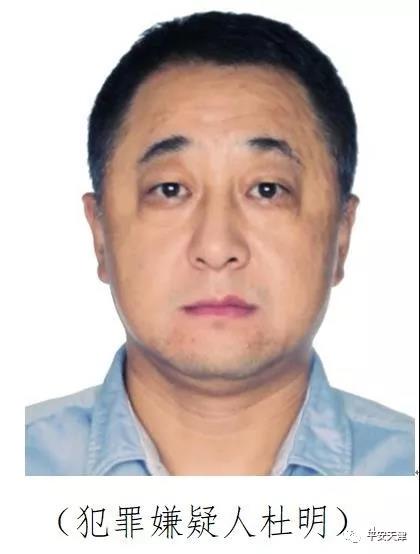 本市打掉3个涉黑涉恶犯罪集团