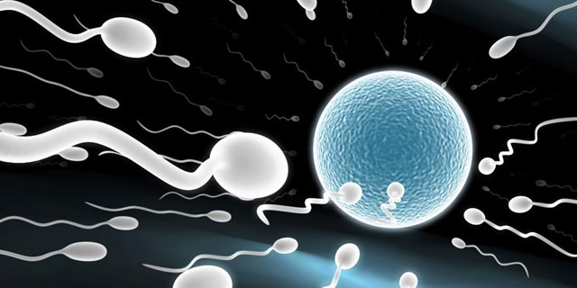丈夫不育婆家让儿媳用公公精子
