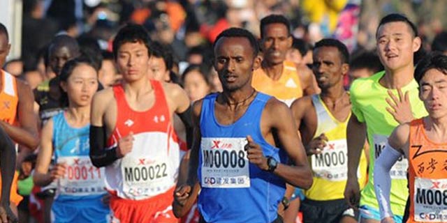 2015跑坛年度盘点