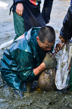 乡村"浑水摸鱼"比赛乐翻天