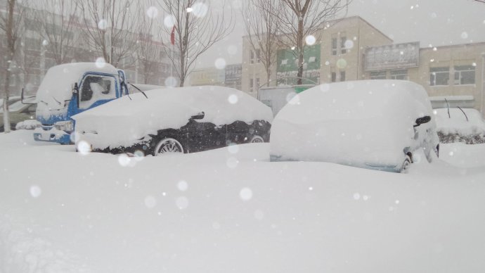 实拍吉林暴雪喘不过气.图