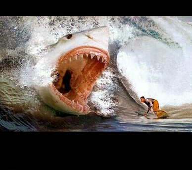 1202162233f49fd19bb60401ea