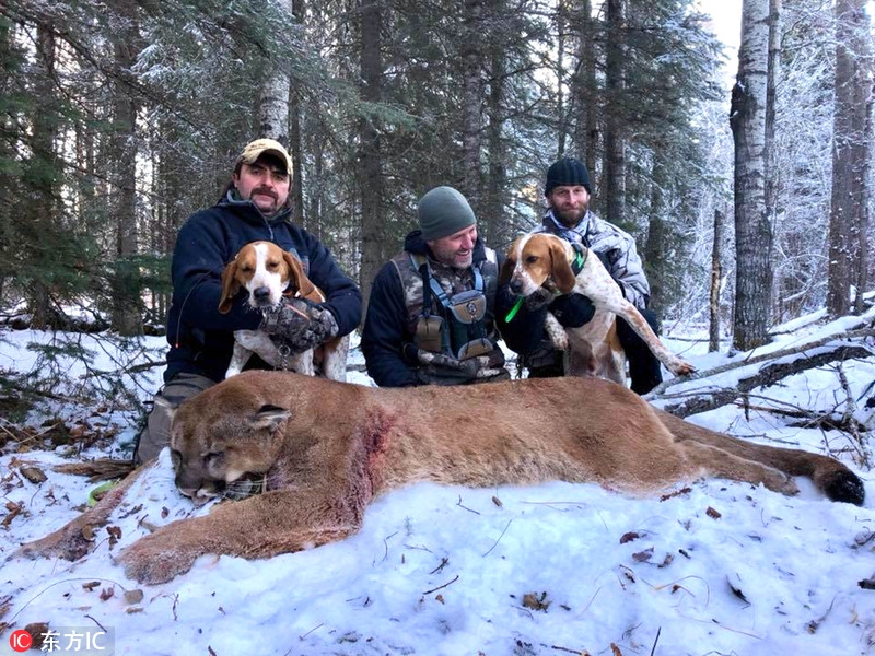 加主持人残忍猎杀美洲狮晒合影引批评