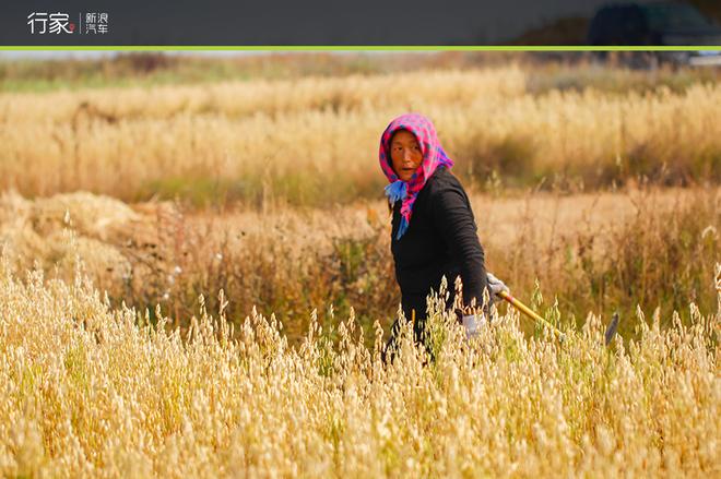 自驾草原天路 见证最后的秋天童话