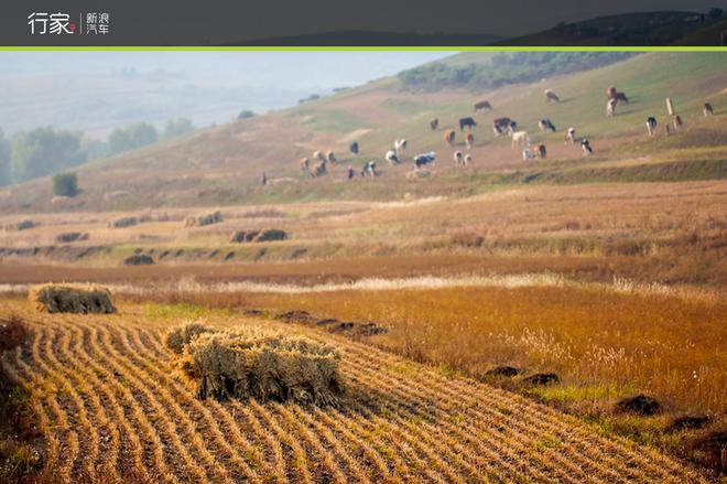 自驾草原天路 见证最后的秋天童话