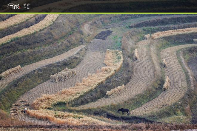 自驾草原天路 见证最后的秋天童话