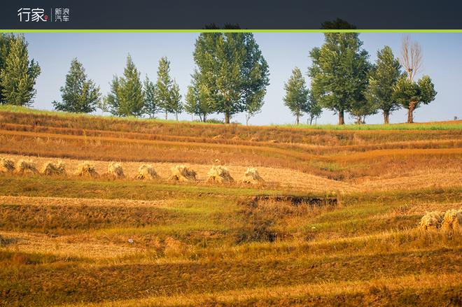 自驾草原天路 见证最后的秋天童话