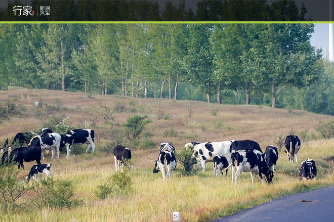 自驾草原天路 见证最后的秋天童话